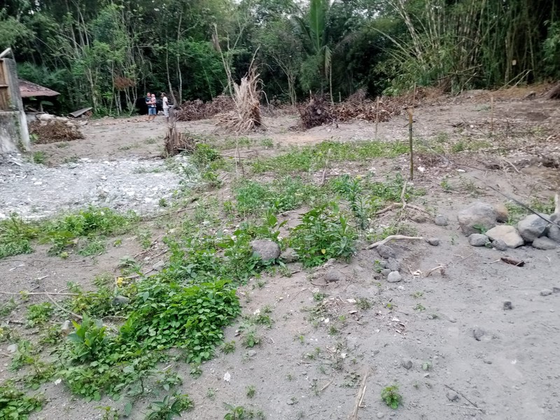 Tanah Ngantong Strategis Cocok untuk Villa & Rumah Pensiun, Lumbungrejo, Tempel, Sleman