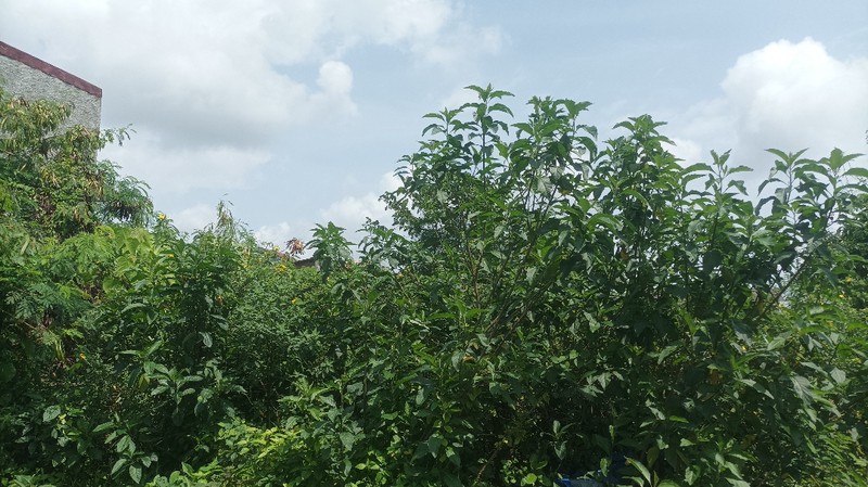 Tanah strategis Kp. Ceger - Terjangkau ke kawasan industri Jababeka & Di Pusat Desa Sukajaya Cibitung