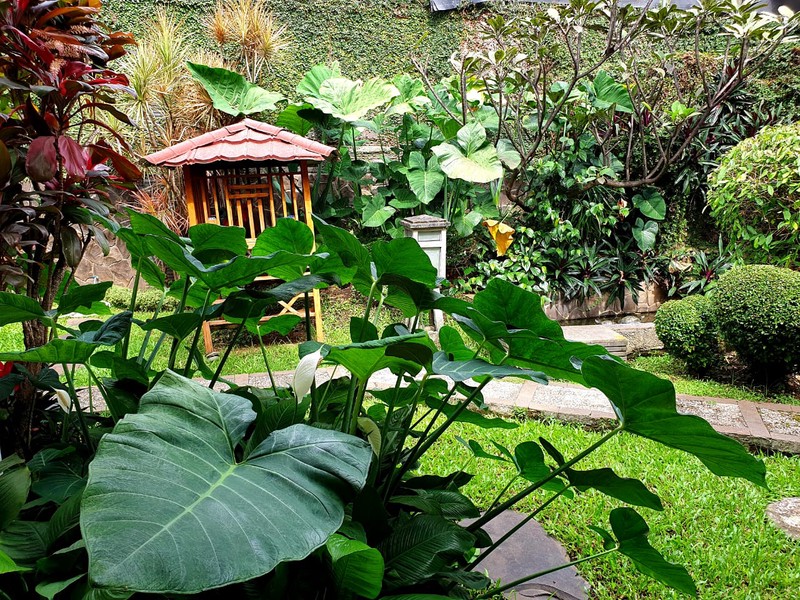 Rumah Luxury Arcamanik Bandung