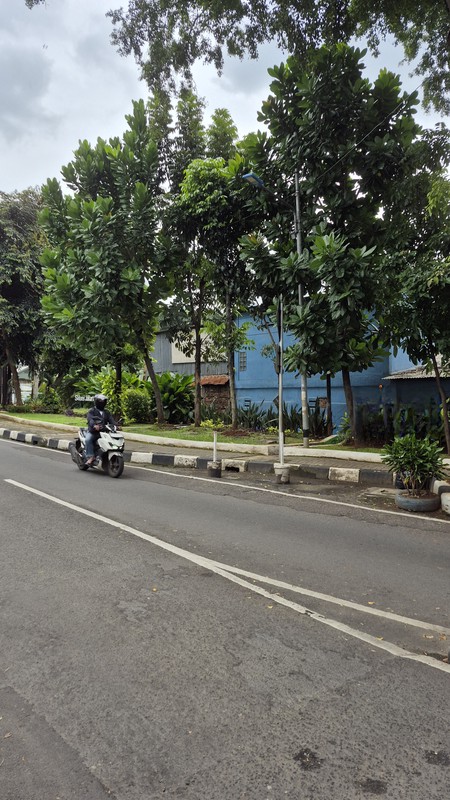 For Sale Prime Land Komersial jl Wolter Monginsidi Kby Baru Jaksel 