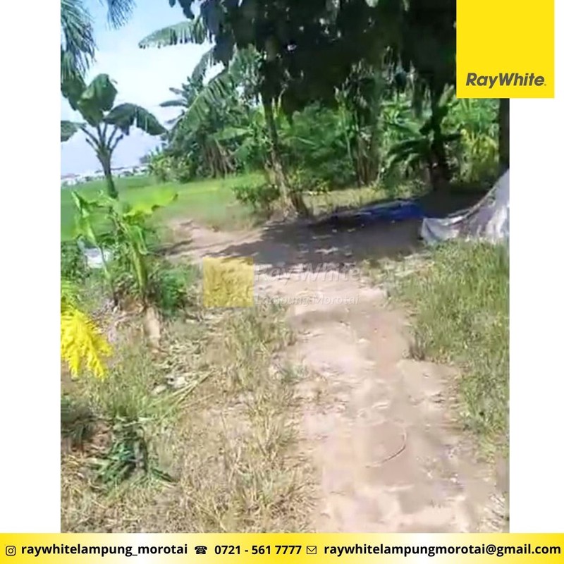 Dijual Tanah 30 Hektar Sukarame Bandar Lampung