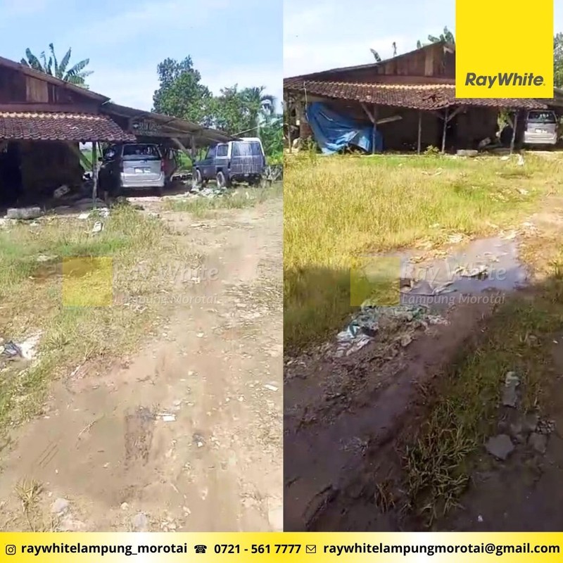 Dijual Tanah 30 Hektar Sukarame Bandar Lampung