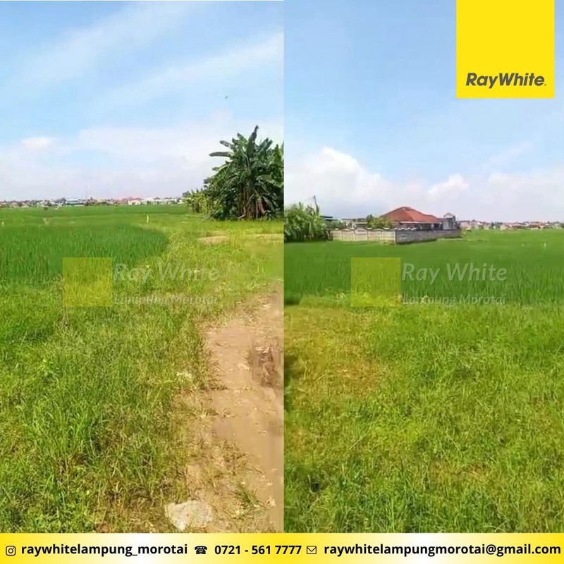 Dijual Tanah 30 Hektar Sukarame Bandar Lampung