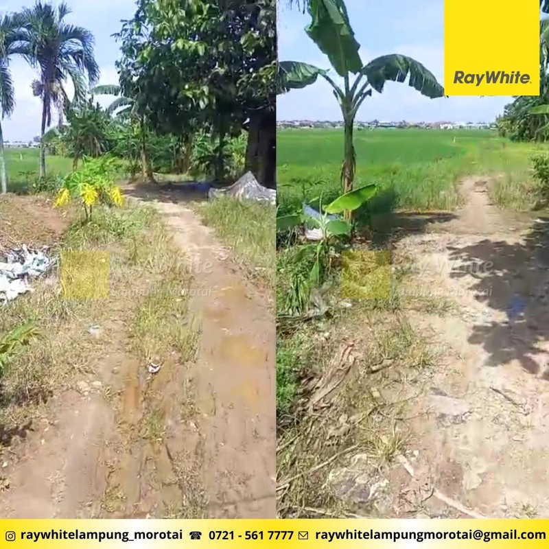 Dijual Tanah 30 Hektar Sukarame Bandar Lampung