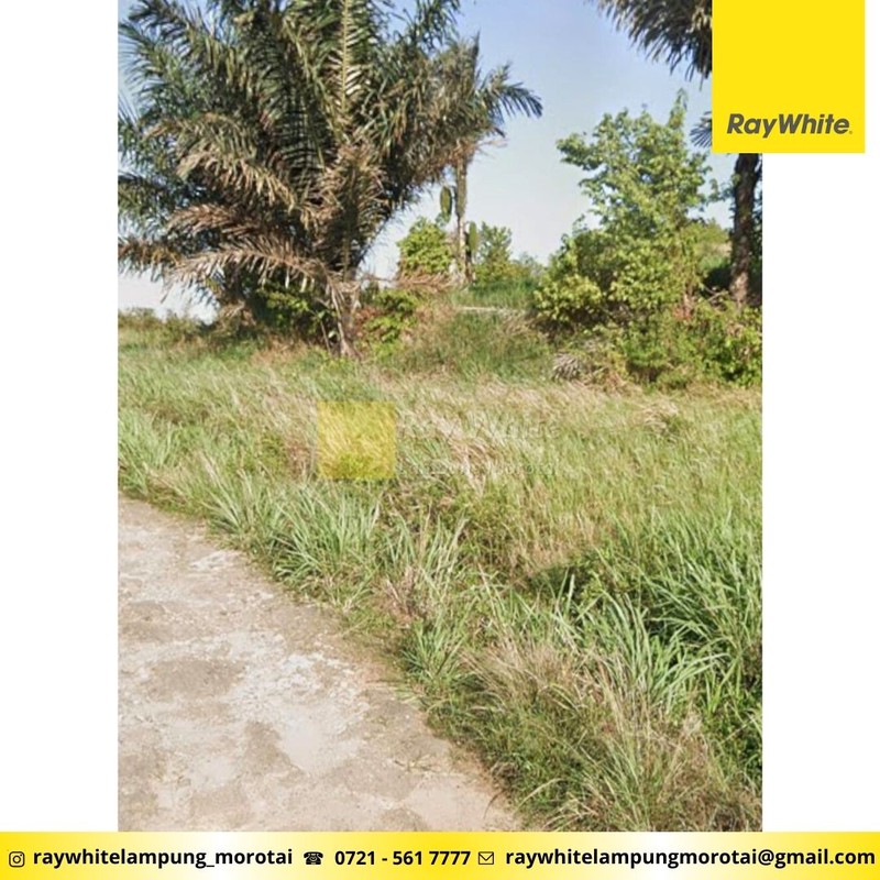 Dijual Tanah Sukabumi Bandar Lampung