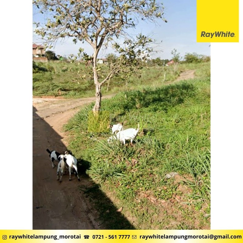 Dijual Tanah Sukabumi Bandar Lampung
