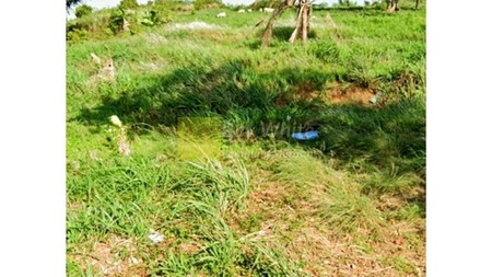 Dijual Tanah Sukabumi Bandar Lampung