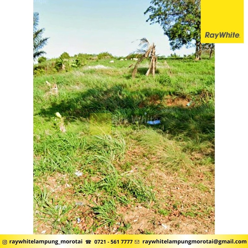 Dijual Tanah Sukabumi Bandar Lampung