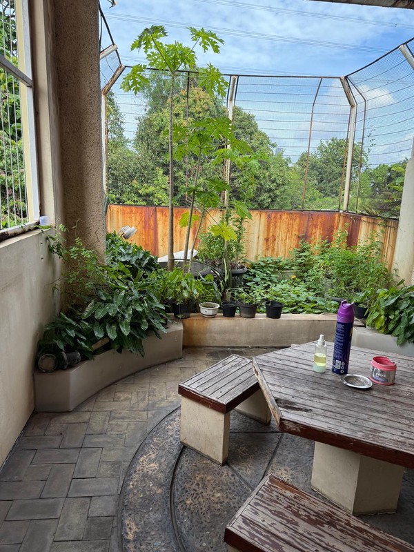 [DIJUAL] Rumah Mewah dan Megah Siap Huni @Bintaro Sektor 9