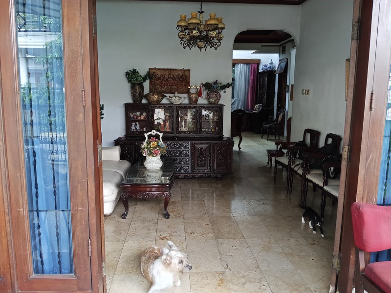 Dijual Cepat Rumah Tinggal Asri & Lokasi Strategis 