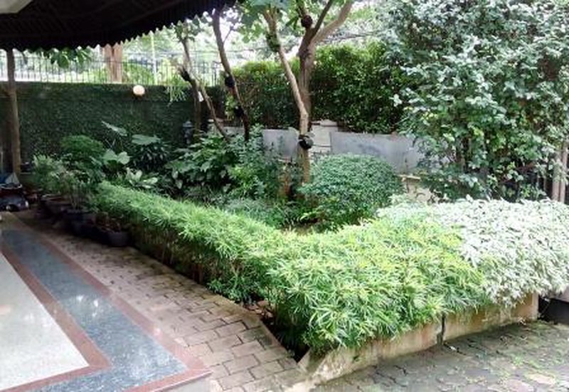 Disewakan  rumah bagus, lokasi tenang, di Menteng, jak pus