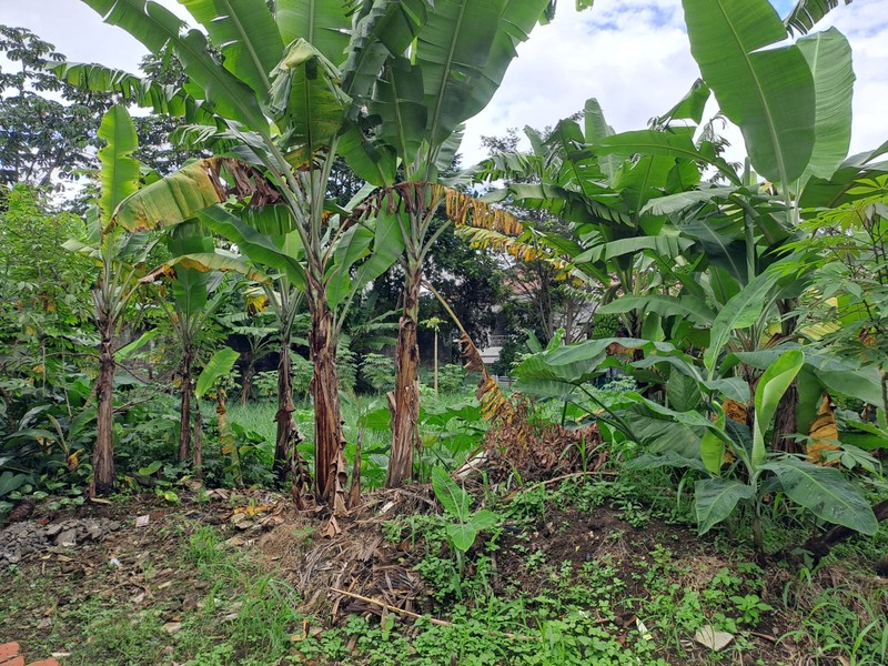 Kavling dalam Cluster, Pakuan, Bogor, Akses mudah ke Sentul City