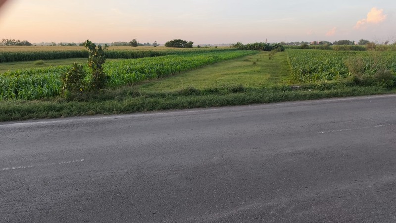 MURAH Dijual 3390 m2 Tanah Industri Raya Bypass Mojoagung - Jombang - Jawa Timur - Nol Jalan Raya Kembar 4 Jalur - Akses Truk Kontainer