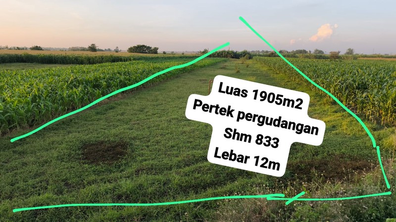 MURAH Dijual 3390 m2 Tanah Industri Raya Bypass Mojoagung - Jombang - Jawa Timur - Nol Jalan Raya Kembar 4 Jalur - Akses Truk Kontainer