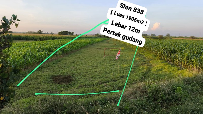 MURAH Dijual 3390 m2 Tanah Industri Raya Bypass Mojoagung - Jombang - Jawa Timur - Nol Jalan Raya Kembar 4 Jalur - Akses Truk Kontainer