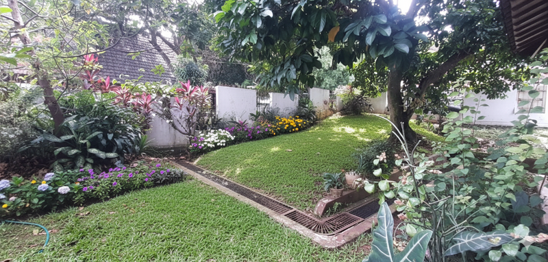 Hunian Asri dan Tenang di Pamulang dengan Taman yang Luas