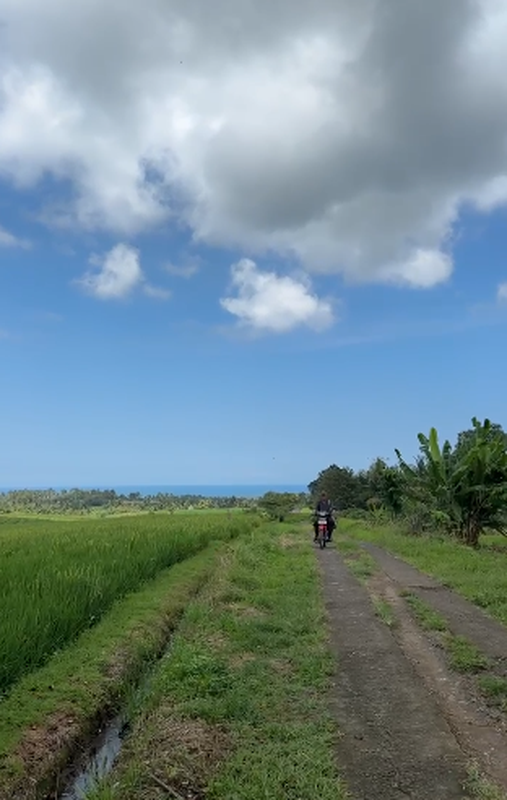Land Freehold With Mountain View In Tabanan Bali
