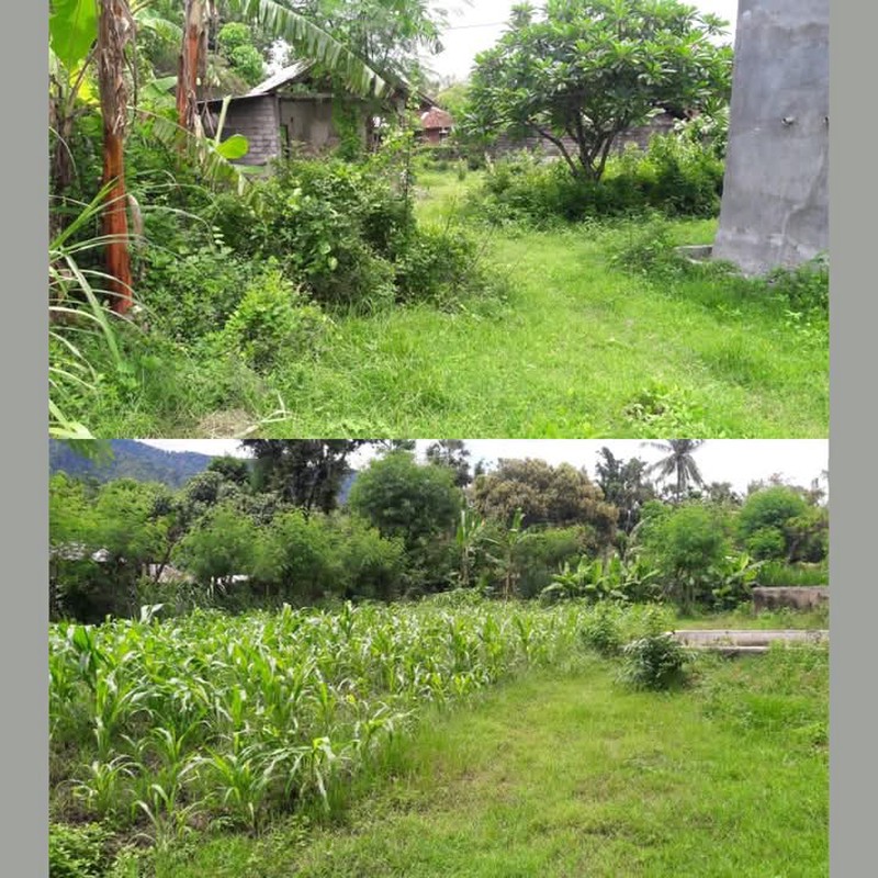 Land Freehold Close Beach In Singaraja Bali