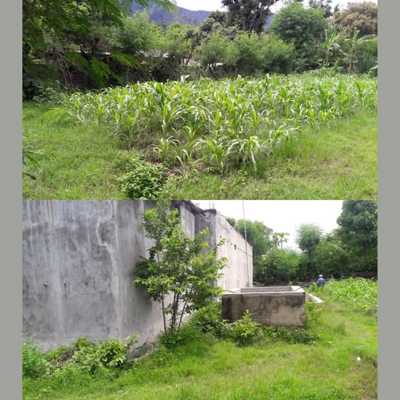 Land Freehold Close Beach In Singaraja Bali