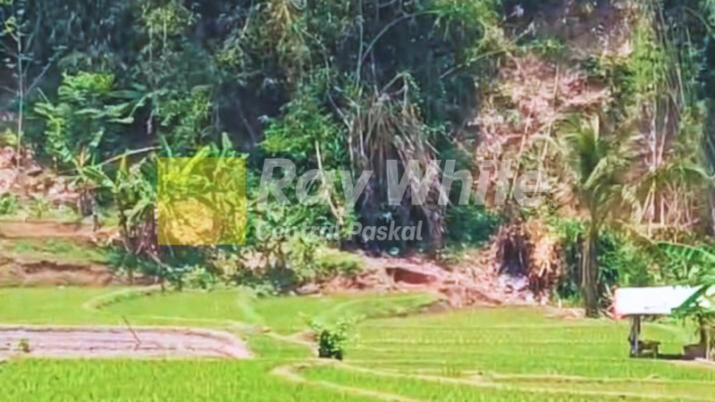 Tanah Sawah di Cikalong Wetan