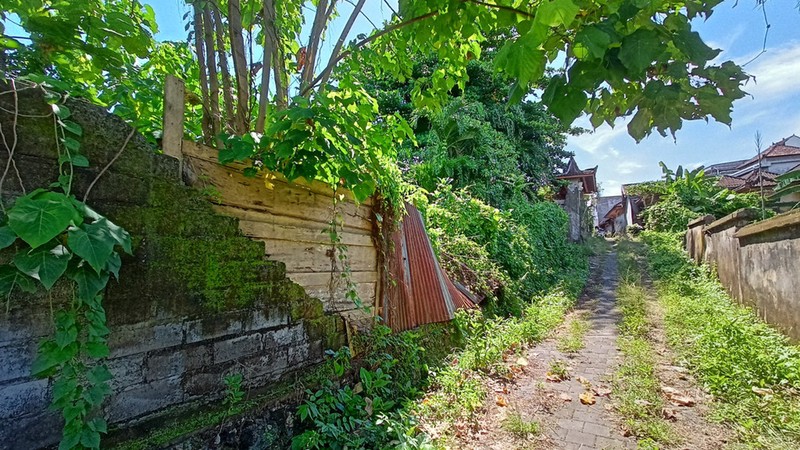 Land Freehold In Kerobokan Bali