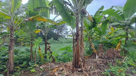 Kavling dalam Cluster, Pakuan, Bogor, Akses mudah ke Sentul City