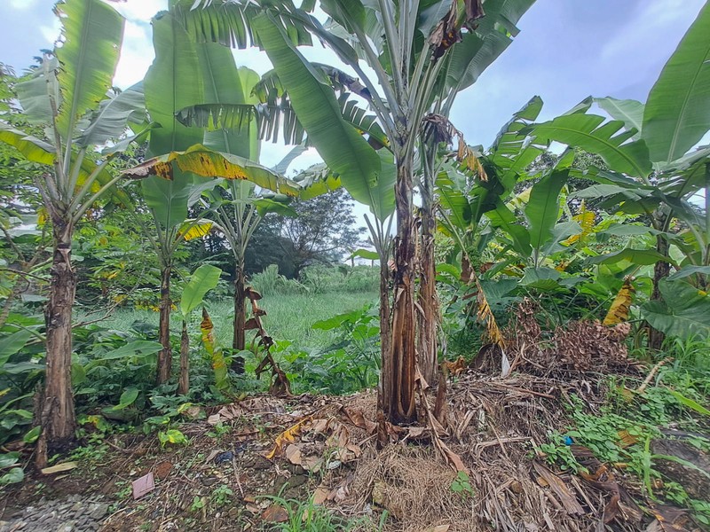 Kavling dalam Cluster, Pakuan, Bogor, Akses mudah ke Sentul City