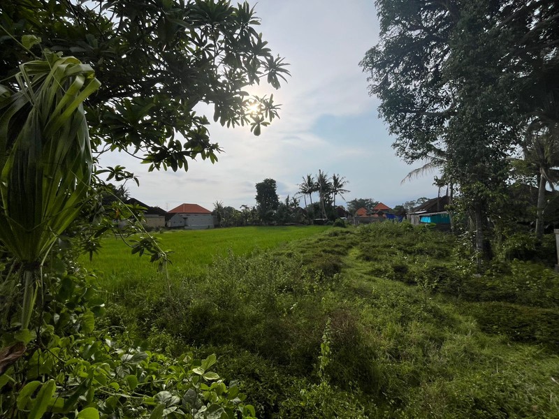For Sale Leasehold land with rice field view  close to Canggu , Bali