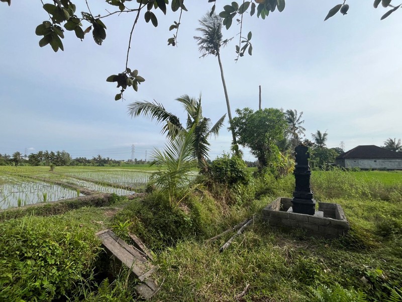 For Sale Leasehold land with rice field view close to Canggu , Bali