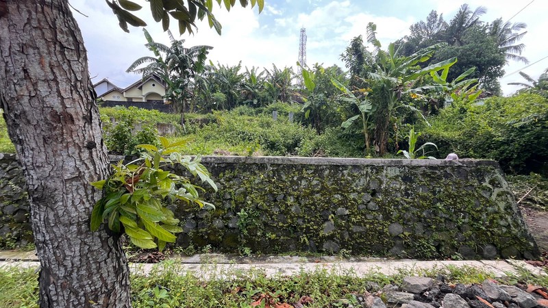 Dijual Tanah Strategis Jl. Magelang Cocok untuk Resto & Usaha Kuliner, Tridadi, Sleman