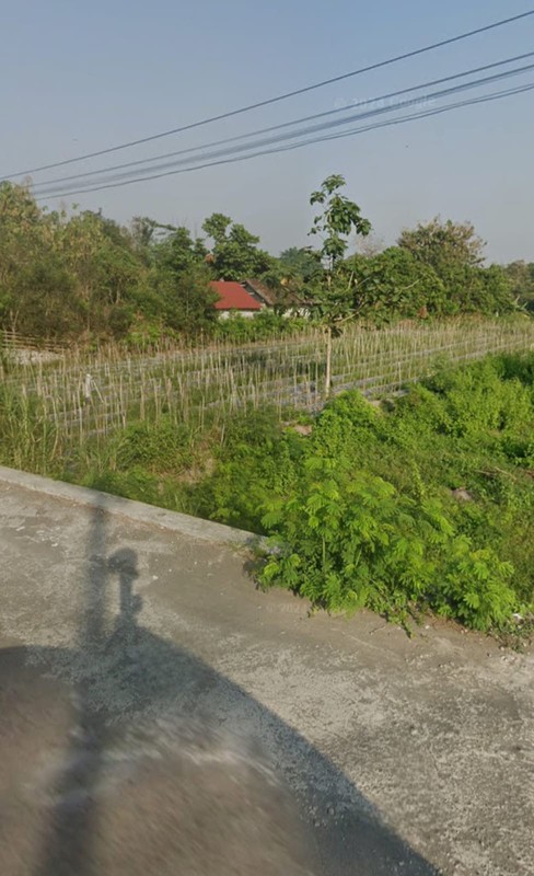 Disewakan Tanah Sawah Cocok Pertanian Lokasi Bedog Trihanggo - Gamping Sleman 