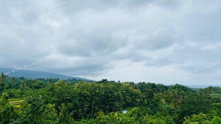 Exclusive 2,625 sqm Land with Panoramic Ocean & Hills View - Selat, North Bali