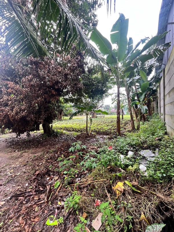 Dijual tanah dengan lokasi sangat strategis di Jalan Raya Krukut, posisi persis pinggir jalan utama dan dekat pintu Tol Krukut.