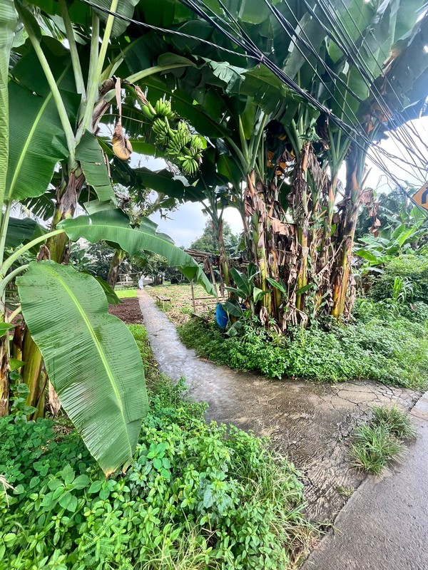 Disewa tanah dengan lokasi sangat strategis di Jalan Raya Krukut, posisi persis pinggir jalan utama dan dekat pintu Tol Krukut.