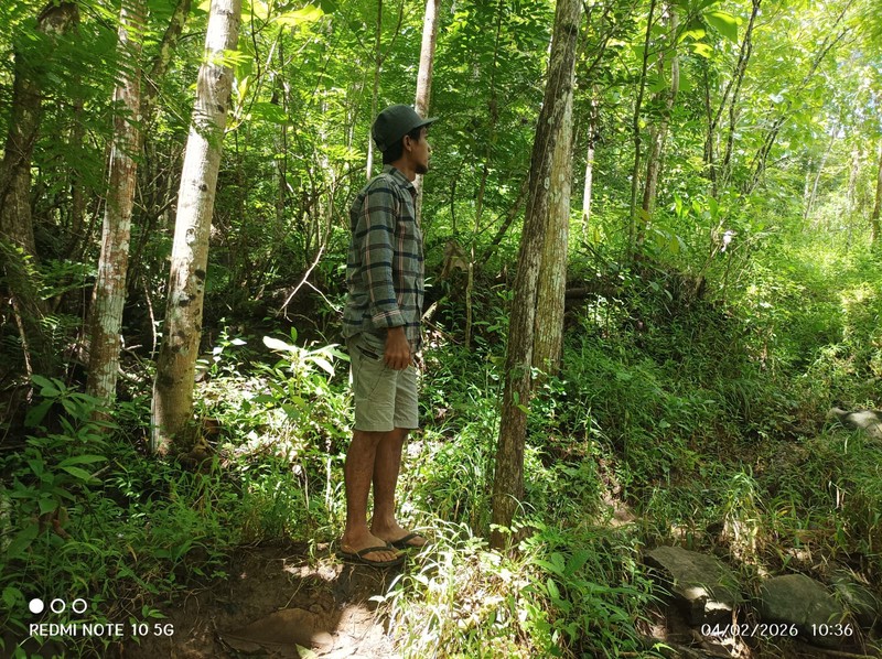 Dijual Tanah Sawah Produktif Lokasi  Pendoworejo - Girimulyo Kulon Progo
