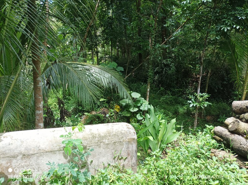 Dijual Tanah Sawah Produktif Lokasi  Pendoworejo - Girimulyo Kulon Progo