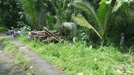 Dijual Tanah Sawah Produktif Lokasi  Pendoworejo - Girimulyo Kulon Progo