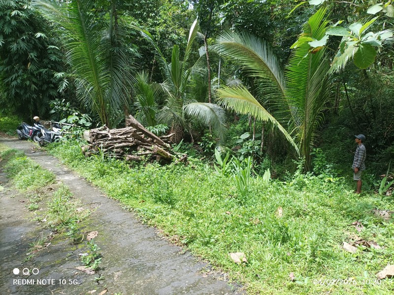 Dijual Tanah Sawah Produktif Lokasi  Pendoworejo - Girimulyo Kulon Progo