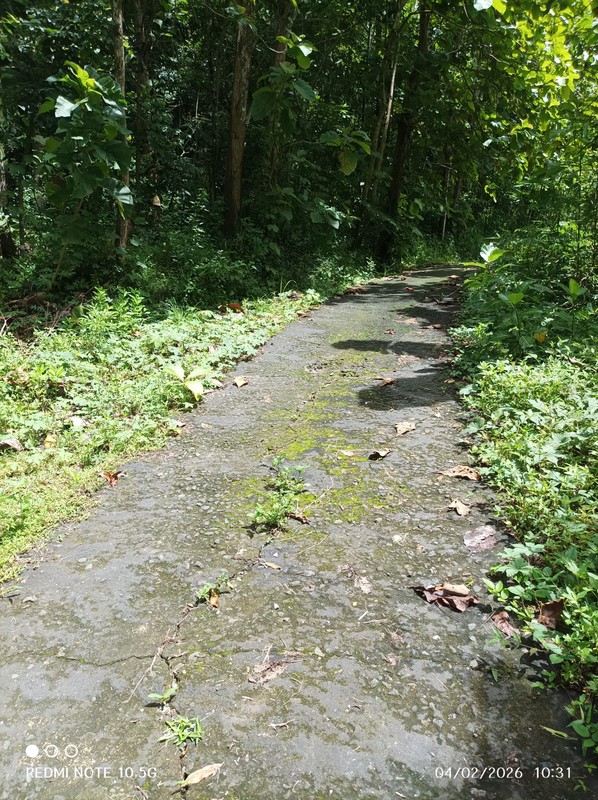 Dijual Tanah Sawah Produktif Lokasi  Pendoworejo - Girimulyo Kulon Progo