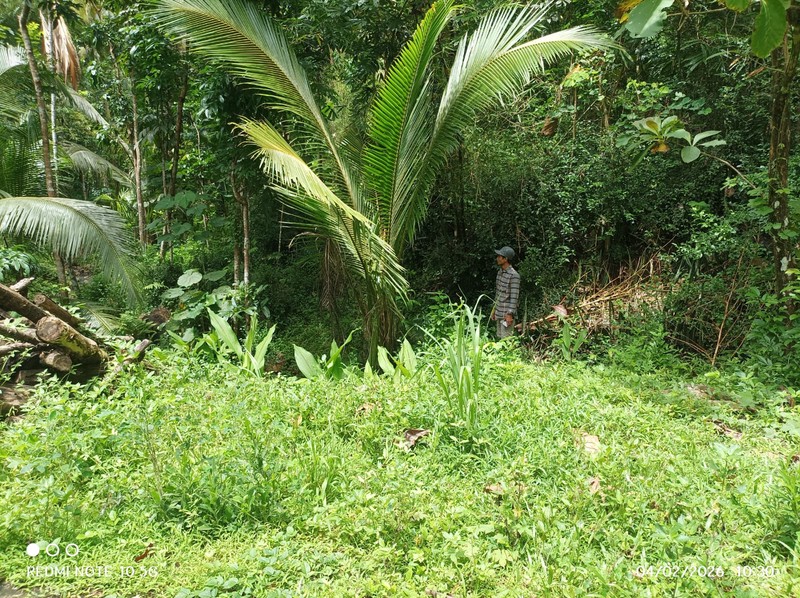Dijual Tanah Sawah Produktif Lokasi  Pendoworejo - Girimulyo Kulon Progo