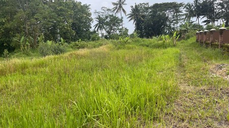 Tanah Eksklusif Sleman Samping Kampus UII, Cocok untuk Villa & Rumah Pensiun, Candibinangun, Pakem, Sleman