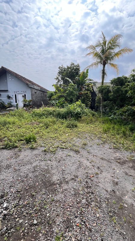 Lahan Hunian Idaman di Donoharjo, Lingkungan Asri & Tenang untuk Gaya Hidup Slow Living, Donoharjo, Ngaglik, Sleman