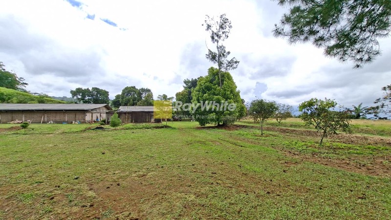 Lahan cocok untuk Hotel, Villa, Ranch, Cafe, Restoran, & Perkebunan, Pancawati, Caringin Bogor