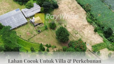 Lahan cocok untuk Hotel, Villa, Ranch, Cafe, Restoran, & Perkebunan, Pancawati, Caringin Bogor