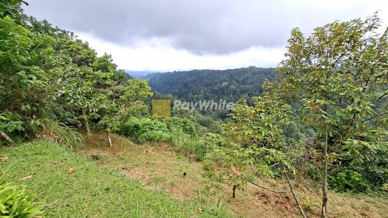 Lahan cocok untuk Hotel, Villa, Ranch, Cafe, Restoran, & Perkebunan, Pancawati, Caringin Bogor