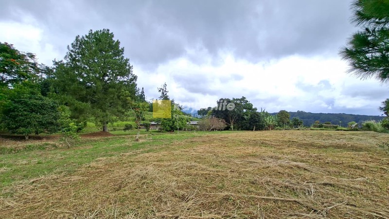 Lahan cocok untuk Hotel, Villa, Ranch, Cafe, Restoran, & Perkebunan, Pancawati, Caringin Bogor