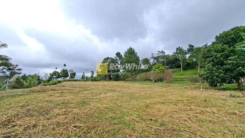 Lahan cocok untuk Hotel, Villa, Ranch, Cafe, Restoran, & Perkebunan, Pancawati, Caringin Bogor