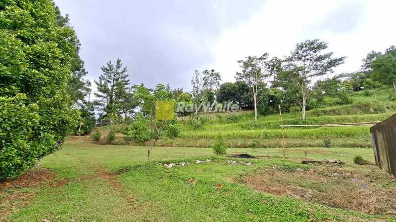 Lahan cocok untuk Hotel, Villa, Ranch, Cafe, Restoran, & Perkebunan, Pancawati, Caringin Bogor