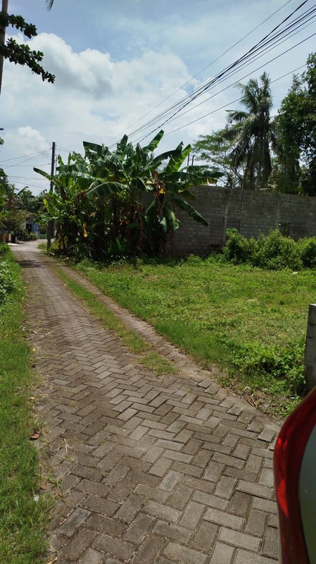 Kavling Hunian Asri di Bambanglipuro Hanya 15 Menit ke Pemda Bantul & RS UII, Sidomulyo, Bambanglipuro, Bantul