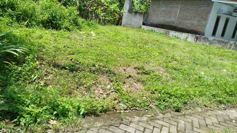 Kavling Hunian Asri di Bambanglipuro Hanya 15 Menit ke Pemda Bantul & RS UII, Sidomulyo, Bambanglipuro, Bantul